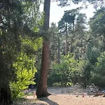 Lake&forest&city *