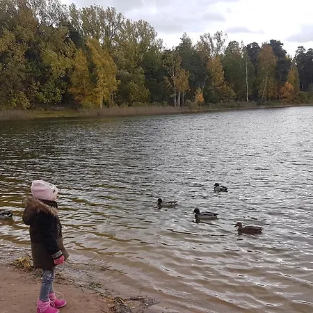 فيلة Lake&forest&city *
