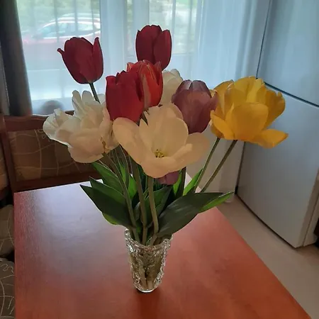 ヴィラ Lake&forest&city リガ