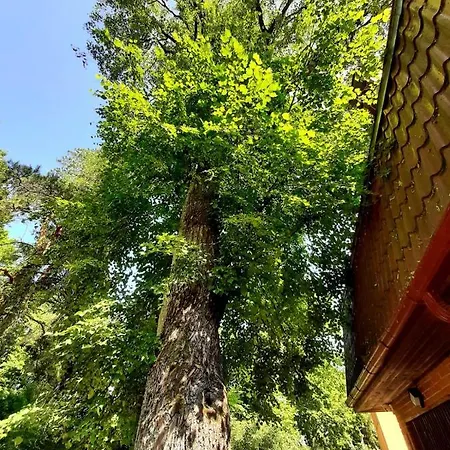 Lake&forest&city ヴィラ *