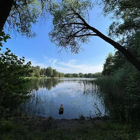 Lake&forest&city ヴィラ