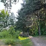 Vila Lake&forest&city